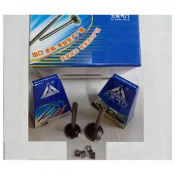 Cg 100 subap takımı