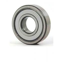  Rulman  6301